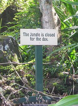Jungle Funny