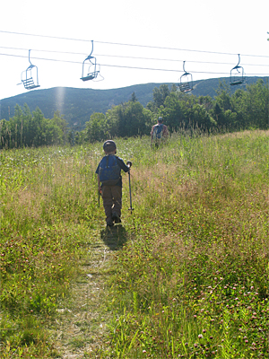 Land Skiing