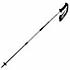 photo of a trekking pole